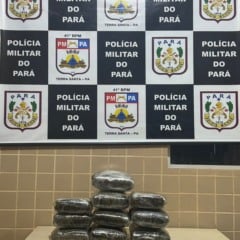 Passageiro escondia 12kg de drogas na mochila no Pará