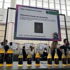 Pará leva hidromel premiado ao Startup Summit