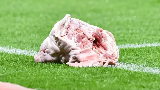 Na ocasião, uma cabeça de porco foi lançada no gramado da Neo Química Arena, gerando repercussão nacional e multa ao clube pelo Superior Tribunal de Justiça Desportiva.