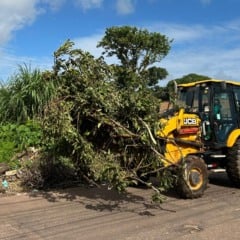 Foram retiradas mais de 24 toneladas de lixo no ponto crítico de descarte irregular no bairro São João do Outeiro, no distrito de Outeiro. Foto: Ag. Belém