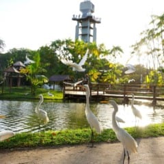 Foto: Bruno Cecim/Ag. Pará
