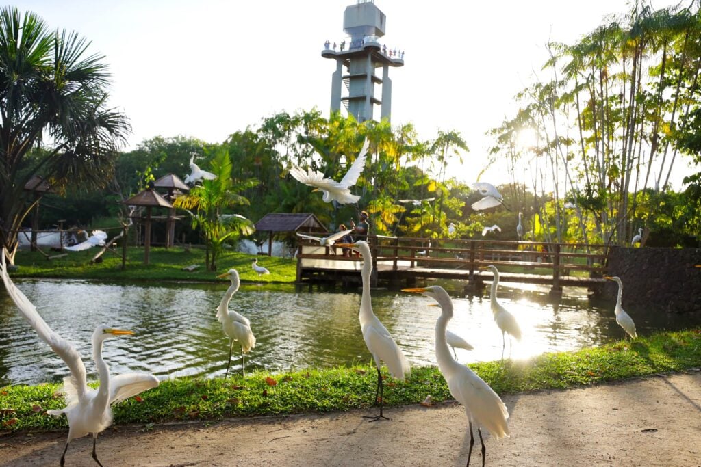 Foto: Bruno Cecim/Ag. Pará