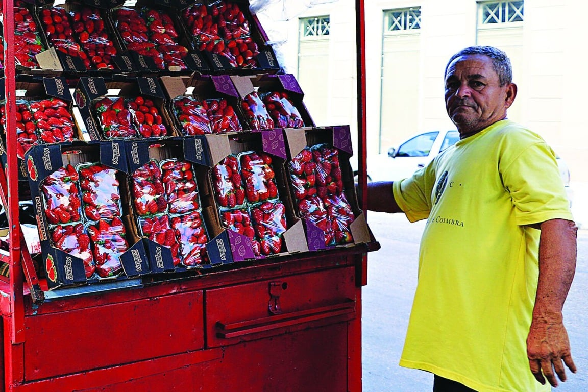 O modismo do momento fez aumentar a procura pela fruta, principalmente por confeiteiros e pessoas que trabalham com doces FOTO: ANTONIO MELO