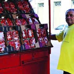 O modismo do momento fez aumentar a procura pela fruta, principalmente por confeiteiros e pessoas que trabalham com doces FOTO: ANTONIO MELO