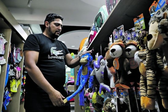 As pet shops têm apostado em oferecer produtos variados e um espaço acolhedor para os animais