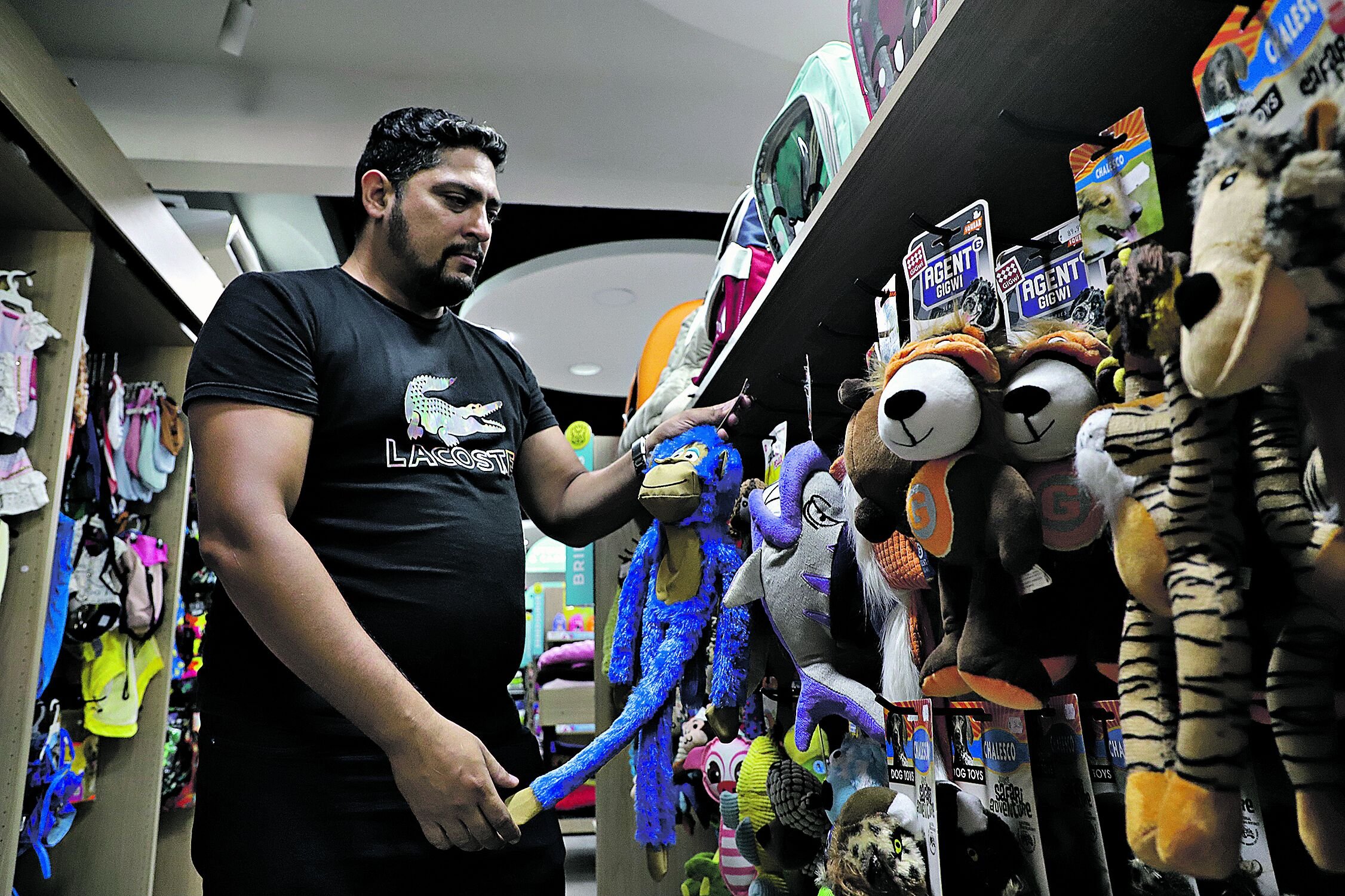 As pet shops têm apostado em oferecer produtos variados e um espaço acolhedor para os animais