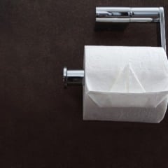 Sim, existe um jeito “certo” de colocar o papel higiênico — e é este
