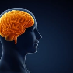 O que é morte cerebral?