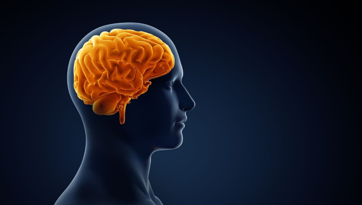 O que é morte cerebral?