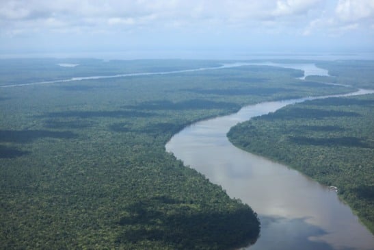 O Pará fechou agosto de 2025 com o menor número de alertas de desmatamento já registrado para o mês desde o início da série histórica, em 2019.