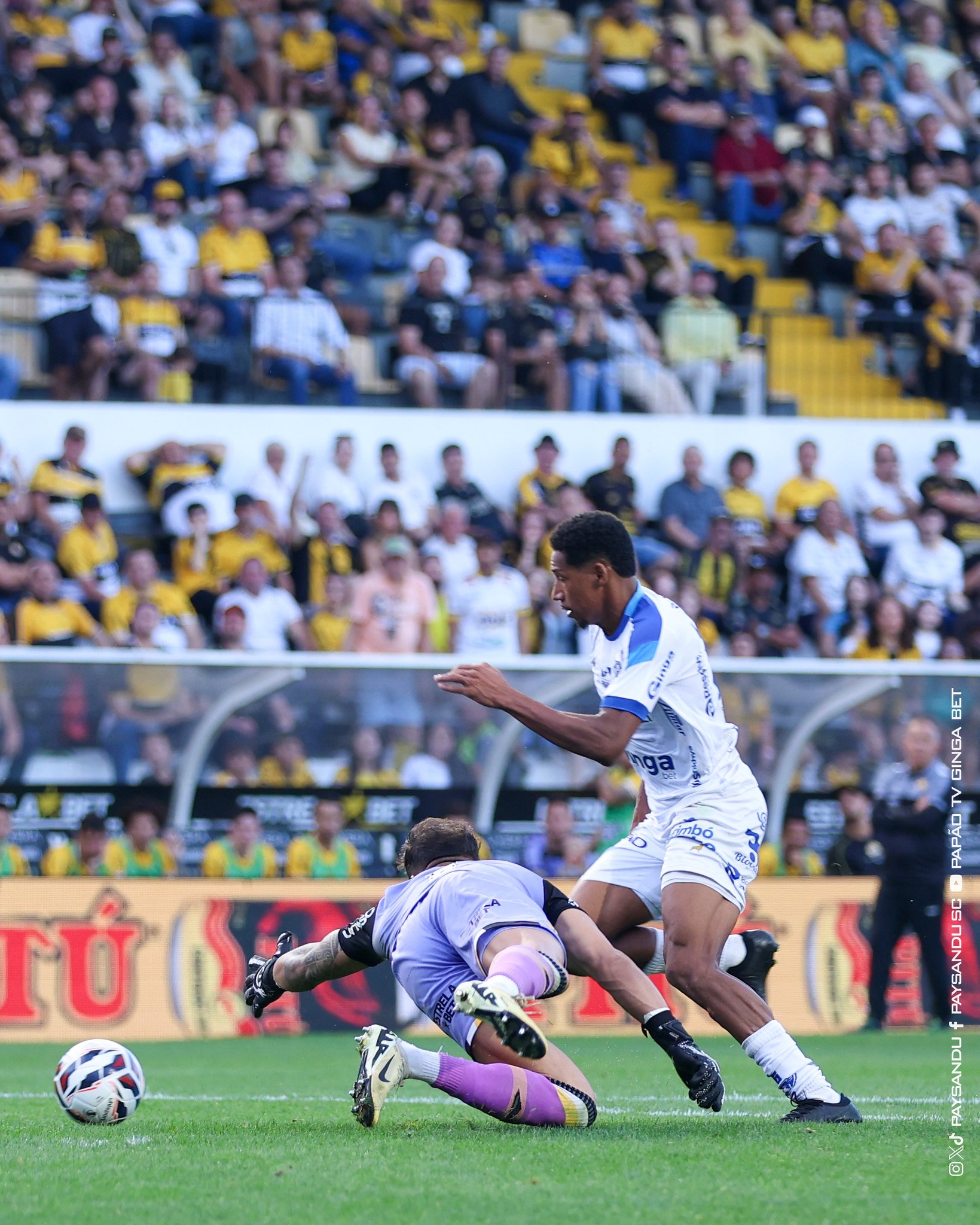 A conta da salvação: o que o Paysandu precisa para ficar na Série B