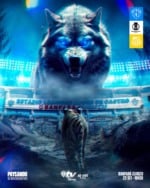 AO VIVO - Paysandu x Novorizontino - Acompanhe jogo direto da Curuzu
