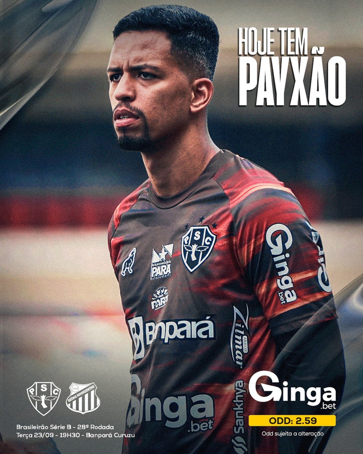 Líder em alta enfrenta o lanterna: Paysandu recebe o Novorizontino na Curuzu