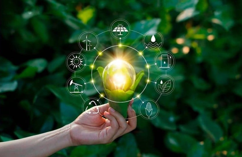 Programa Start UP Pará busca novas soluções inovadoras nas áreas de bioeconomia, sustentabilidade, tecnologia da informação e inteligência artificial