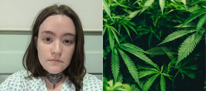 Mulher com a pior dor do mundo consegue liminar para plantar maconha em casa