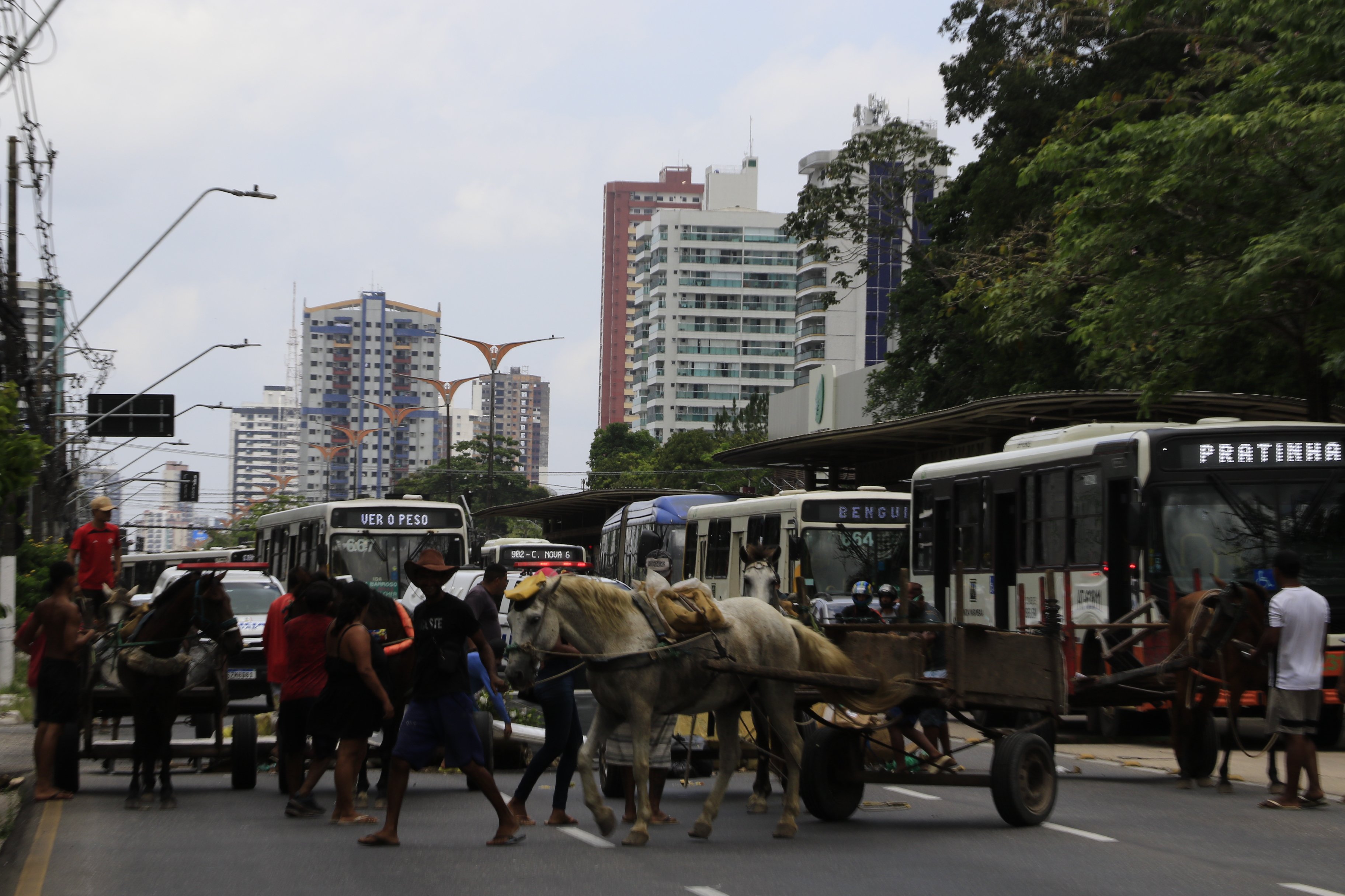 Um grupo de carroceiros interditou parcialmente a avenida Almirante Barroso, em Belém, no sentido São Brás-Entroncamento, na manhã desta segunda-feira, 15.