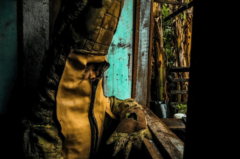 ‘Um Norte em Nós’: a Amazônia como centro de narrativas e protagonismo na ArtRio