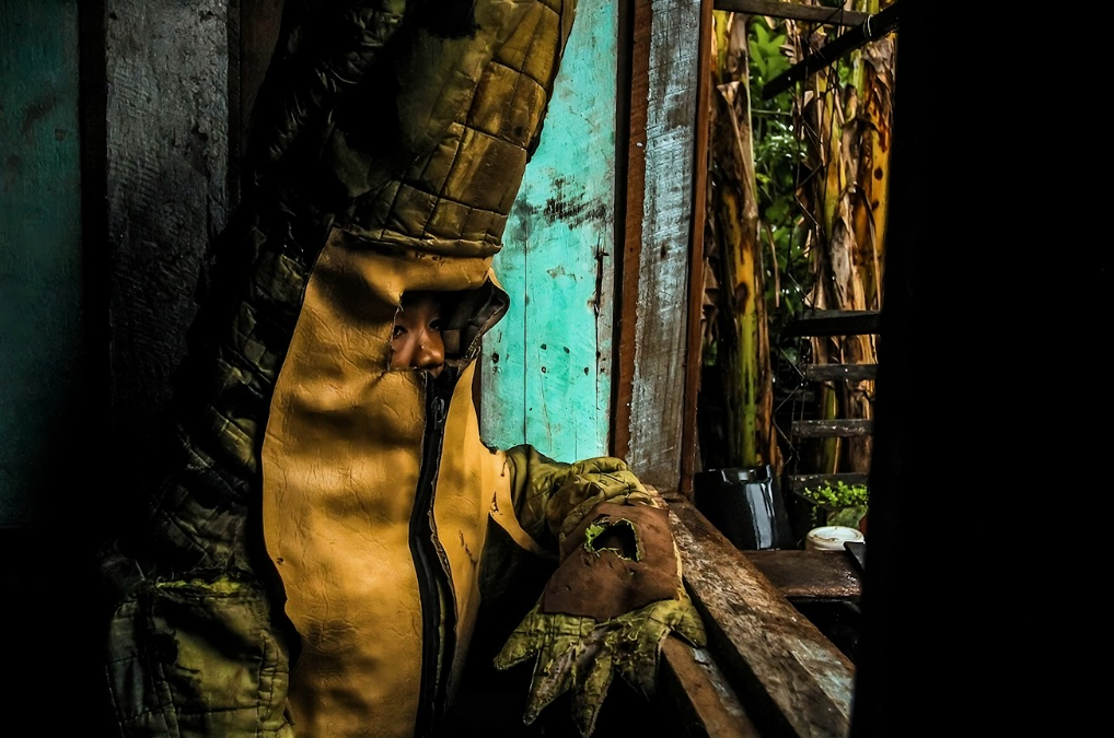 ‘Um Norte em Nós’: a Amazônia como centro de narrativas e protagonismo na ArtRio