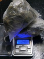 Denúncia de odor leva à prisão por tráfico de drogas em Afuá, no Marajó