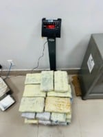 Droga é encontrada em navio no porto de Vila do Conde, em Barcarena