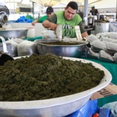 Círio aquece venda de maniva no Ver-o-Peso e movimenta tradição da maniçoba