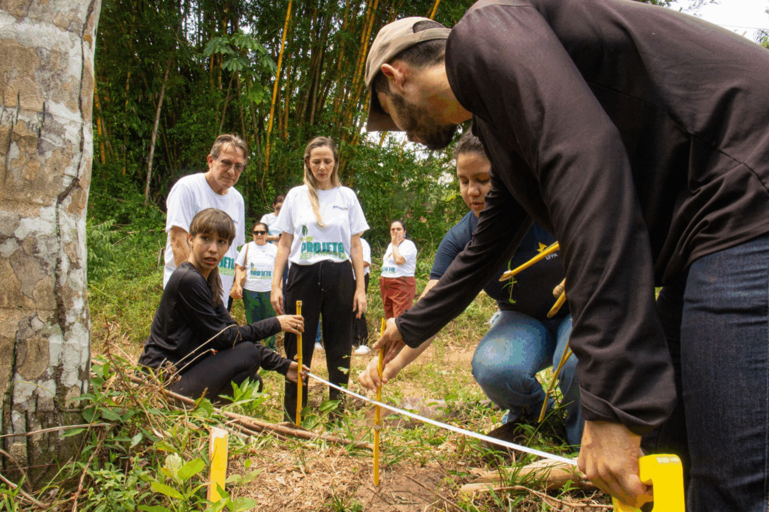 Projeto Refloresta planta esperança na comunidade quilombola de Itacoã-Miri
