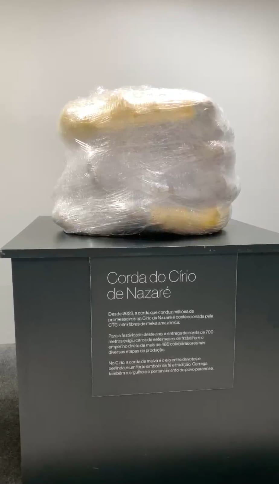 Corda do Círio feita com malva é entregue em Castanhal e será vistoriada em Belém