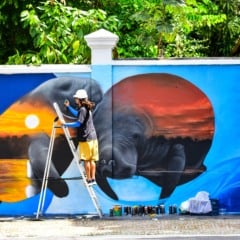 Evento celebra a arte urbana inspirada na Amazônia com shows, oficinas e programação para toda a família