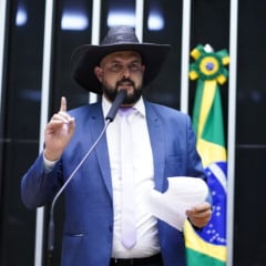 Segundo o processo, o próprio deputado admitiu em entrevista ao portal Metrópoles ter dado "um tapa na cara" da ex-companheira. Foto: divulgação