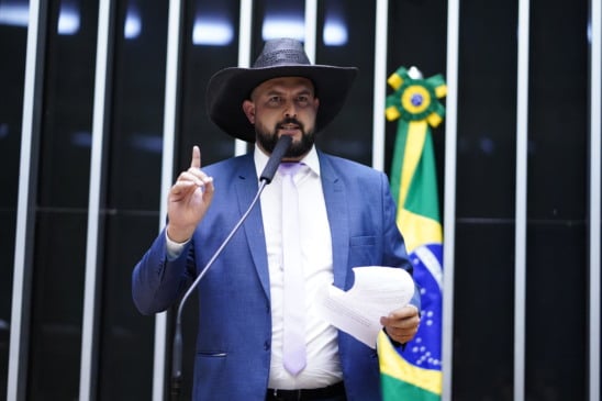 Segundo o processo, o próprio deputado admitiu em entrevista ao portal Metrópoles ter dado "um tapa na cara" da ex-companheira. Foto: divulgação