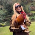 Adriane Galisteu volta a comandar o reality rural a partir de segunda-feira (15)