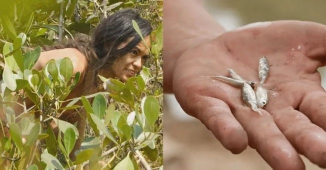 Participante afirmou que peixes eram atraídos por suas partes íntimas e usou isso a seu favor na savana africana