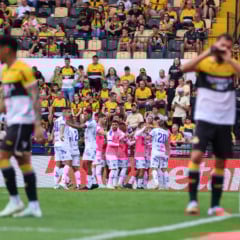 Dos 27 pontos possíveis, time bicolor precisa conquistar ao menos 23 para não cair. Foto: Jorge Luis Totti/PSC

