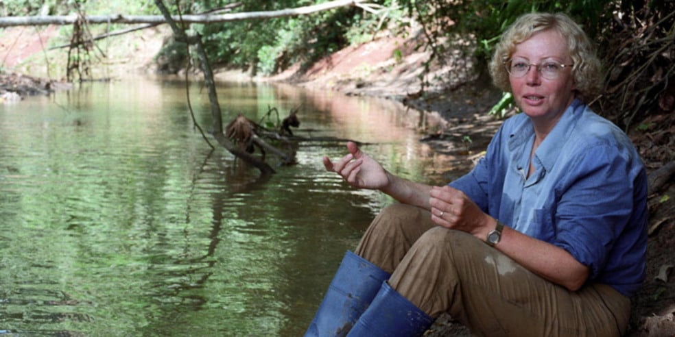 Décadas mais tarde, a sobrevivente voltou ao local da tragédia ao lado do cineasta Werner Herzog, experiência que transformou em documentário que acabou sendo chamado de “Asas da Esperança”. Foto: 
