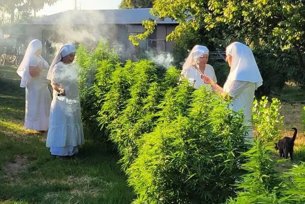 As Sisters of the Valley, conhecidas como as “freiras da cannabis”, formam uma comunidade espiritual que há dez anos mistura fé, ativismo e medicina natural
