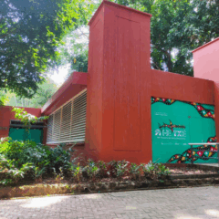 A partir deste sábado (18/10), os visitantes do Parque Zoobotânico do Museu Paraense Emílio Goeldi (PZB-MPEG) poderão apreciar a exposição “Ahetxiê: um tesouro da costa amazônica”. Foto: Divulgação