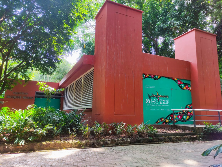 A partir deste sábado (18/10), os visitantes do Parque Zoobotânico do Museu Paraense Emílio Goeldi (PZB-MPEG) poderão apreciar a exposição “Ahetxiê: um tesouro da costa amazônica”. Foto: Divulgação