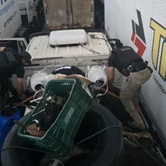 4 toneladas de pirarucu clandestino são apreendidas em balsa no Pará