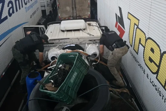 4 toneladas de pirarucu clandestino são apreendidas em balsa no Pará