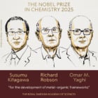 Nobel de Química celebra criação das estruturas metal-orgânicas, novo marco da ciência dos materiais