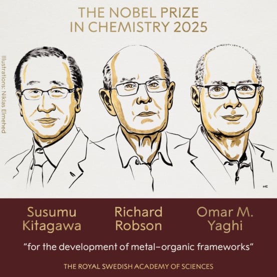 Nobel de Química celebra criação das estruturas metal-orgânicas, novo marco da ciência dos materiais