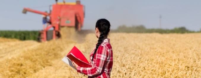 Produtoras rurais impulsionam inovação e sustentabilidade no agronegócio