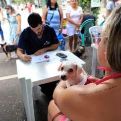 Promovida pela Prefeitura de Belém, com a parceria da Defensoria Pública, o “Belém Animal” garantiu a vacinação, castração e RG animal. Fotos: Celso Rodrigues