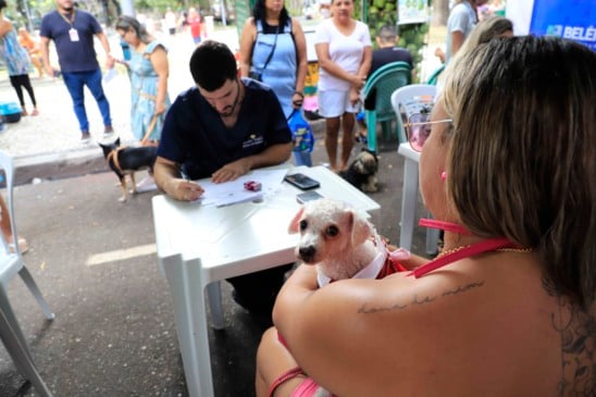 Promovida pela Prefeitura de Belém, com a parceria da Defensoria Pública, o “Belém Animal” garantiu a vacinação, castração e RG animal. Fotos: Celso Rodrigues