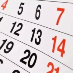 Novembro terá 5 feriados, recesso e férias escolares; veja datas