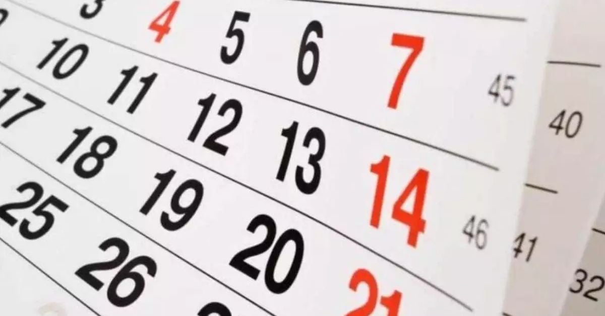 Novembro terá 5 feriados, recesso e férias escolares; veja datas