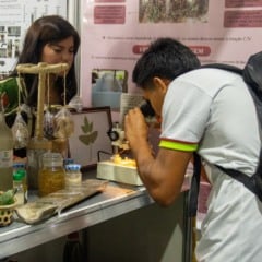 IFPA promove encontro para fortalecer a voz da Amazônia na COP30