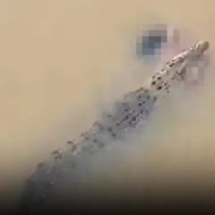 A vítima, identificada como Soudamini Mahala, lavava roupas às margens do rio quando foi surpreendida pelo ataque na tarde da última segunda-feira (6)