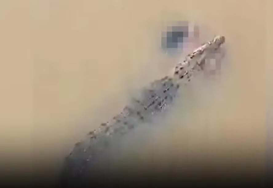 A vítima, identificada como Soudamini Mahala, lavava roupas às margens do rio quando foi surpreendida pelo ataque na tarde da última segunda-feira (6)