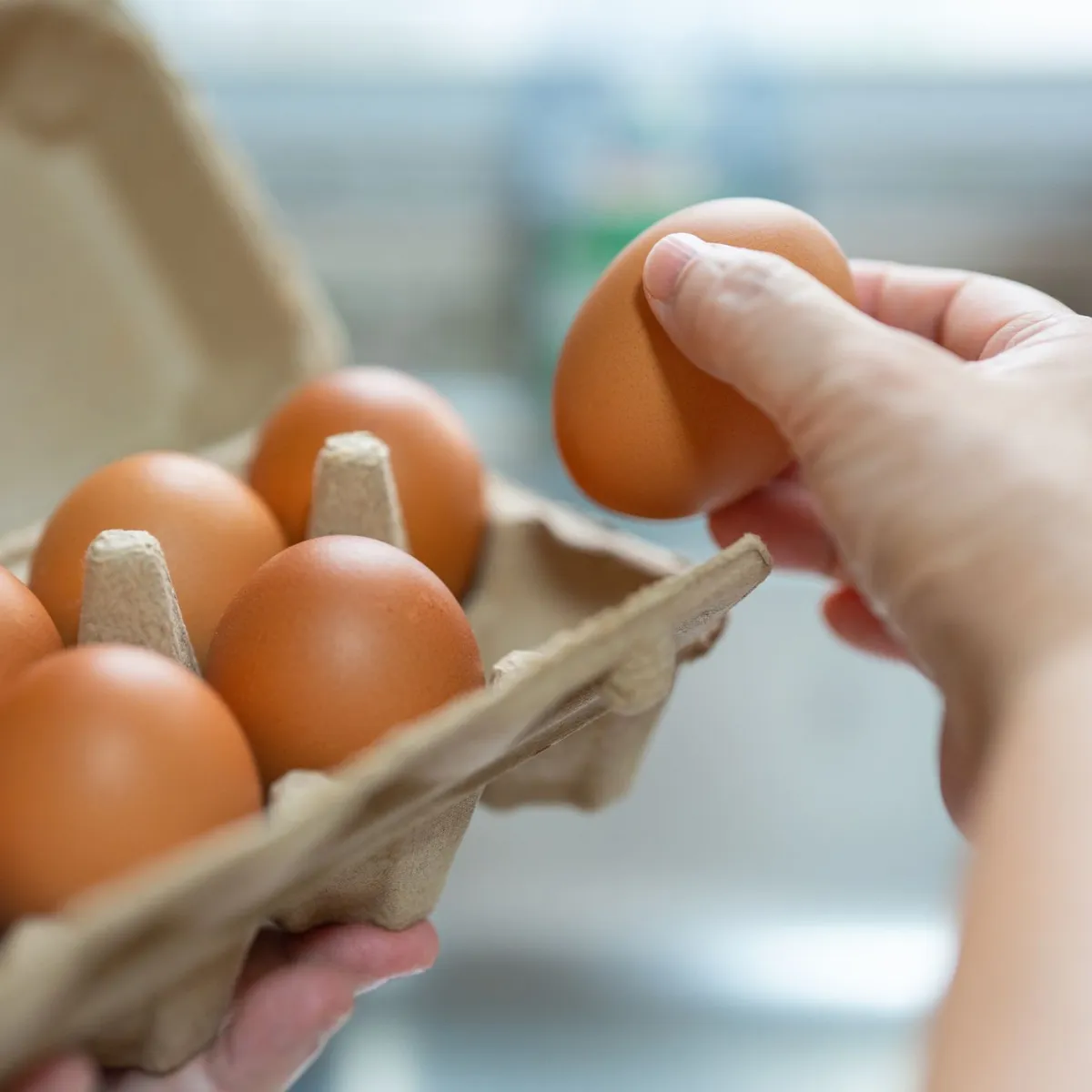 Ovo tem validade? Veja como identificar para consumo Ovo tem validade? Veja como identificar para consumo